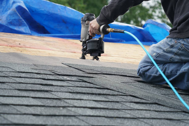 Best Storm Damage Roof Repair  in Horse Shoe, NC